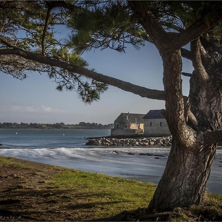 Les Villas De Locmiquel Bord De Mer Baden Eksteriør bilde