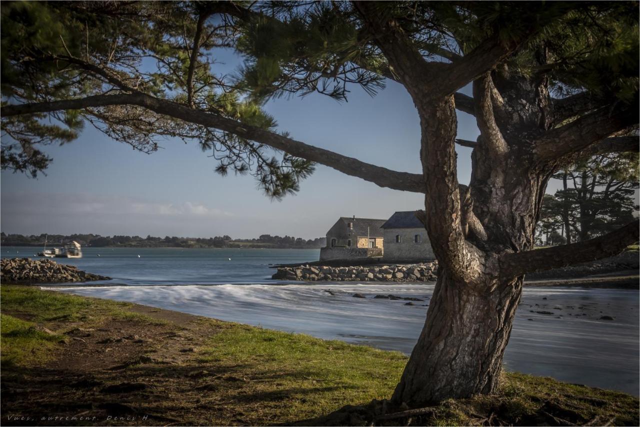 Les Villas De Locmiquel Bord De Mer Baden Eksteriør bilde